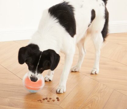 NINA_OTTOSSON_RUMBLE_PUZZLE_-_TOPSY_TREAT_BALL