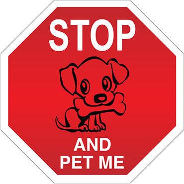 _STOP_AND_PET_ME__AUTOMAGNEETTI