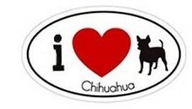 I_LOVE_CHIHUAHUA_AUTOMAGNEETTI