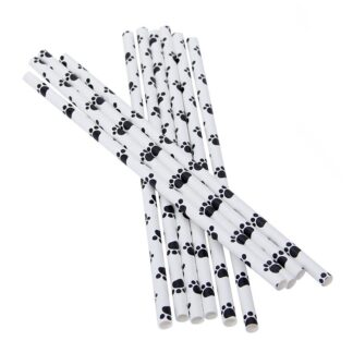 BOOGIE_FESTIVAL_TASSU_-_JUOMAPILLI